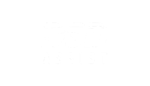 DSD Assist - white 01