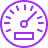 ICON_48px_odometer-VIOLET