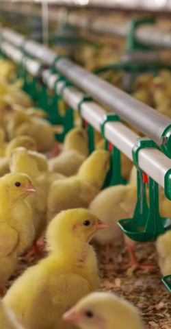 customer-story-farmmark-02
